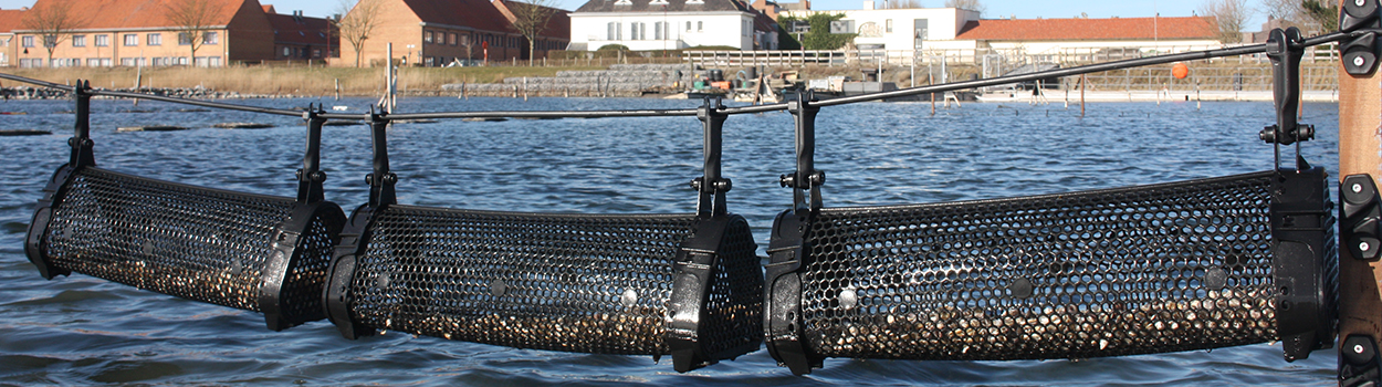 Bedrijfsbezoek oesterkwekerij